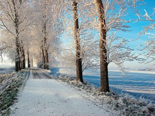 Vakantiepark Bruinisse Omgeving 19