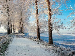 Vakantiepark Bruinisse Omgeving 15
