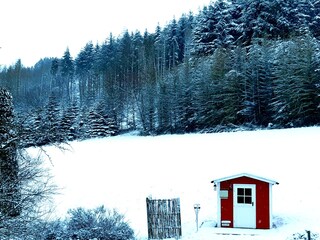 Apartamento de vacaciones Birkenfeld (Hunsrück) Grabación al aire libre 3