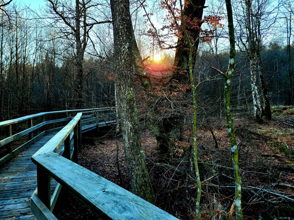 wunderschöne Wanderwege (hier durch ein Moor)