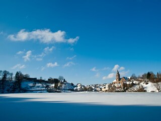 Eifelwinter-2010-017 - Kopie