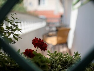 Apartment Rab (Stadt) Umgebung 13
