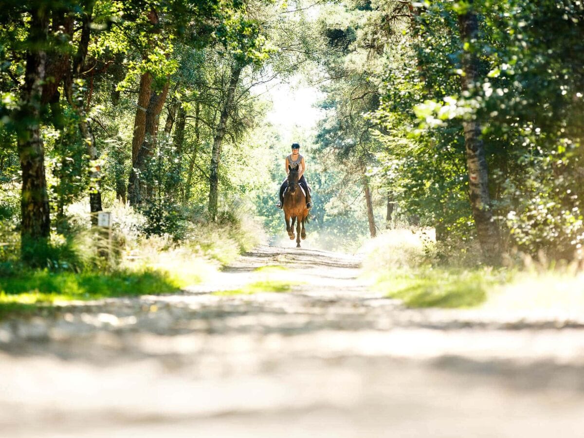 Rijssen-Holten