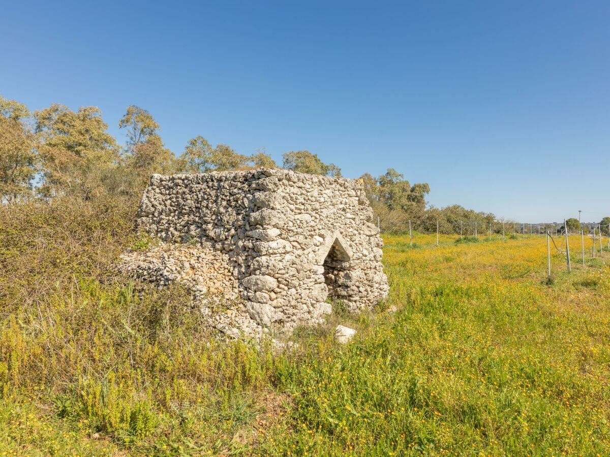 Villa Poggiardo Umgebung 41