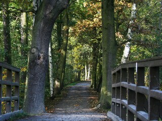 Holiday house Lübbenau Environment 14