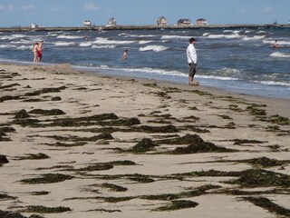 Casa per le vacanze Kappeln (Stadt) Ambiente 8