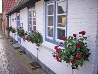 Vakantiehuis Kappeln (Stadt) Buitenaudio-opname 2