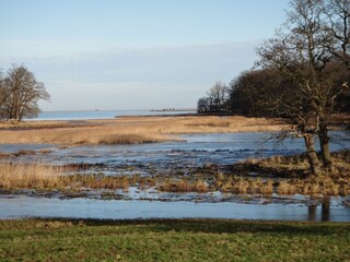 Casa per le vacanze Kappeln (Stadt) Ambiente 5