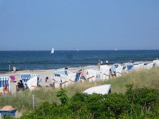 Sommer in Rerik