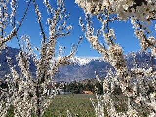 Appartamento per vacanze Meran Ambiente 30
