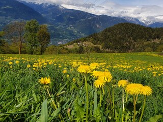 Appartamento per vacanze Meran Ambiente 31