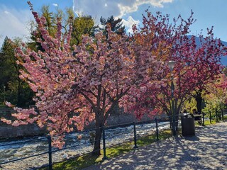 Appartamento per vacanze Meran Ambiente 25
