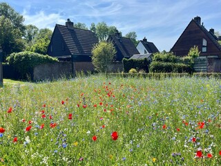 Holiday house Welt Outdoor Recording 13