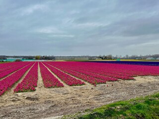 Ferienhaus Welt Umgebung 34