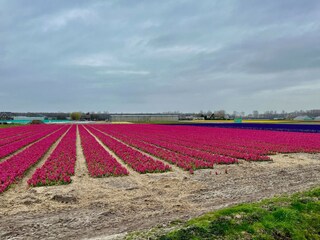 Vakantiehuis Welt Omgeving 37