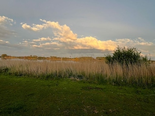 Ferienhaus Welt Umgebung 33