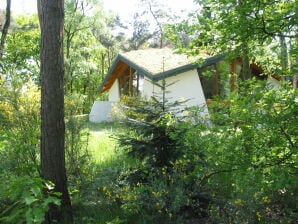 Maison écologique avec poêle à bois, dans un parc de vacances en pleine nature - herpès - image1