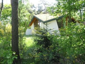 Holiday park Ökologisches Ferienhaus mit Holzofen, in einem Ferienpark mitten in der Natur - Herpen - image1