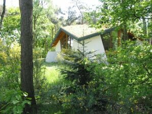 Vakantiepark Ecologisch vakantiehuis met houtkachel, midden in de natuur - herps - image1