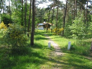 Parc de vacances Herpen Enregistrement extérieur 4