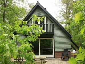 Vakantiepark Comfortabele bungalow met openhaard, in het bos - herps - image1