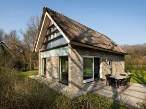 Holiday park Thatched villa with two bathrooms, at 8 km. from Hoogeveen - Ruinen - image1