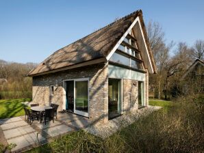 Vakantiepark Rietgedekte villa met twee badkamers, op 8 km. van Hoogeveen - ruïnes - image1