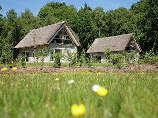 Holiday park Ruinen Outdoor Recording 2