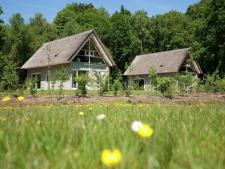 Parc de vacances Ruinen Enregistrement extérieur 2
