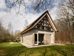 Vakantiepark Rietgedekte villa met twee badkamers, op 8 km. van Hoogeveen - ruïnes - image1