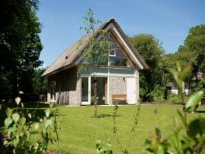 Vakantiepark Luxe villa met 2 badkamers en solarium, 8 km. van Hoogeveen - ruïnes - image1