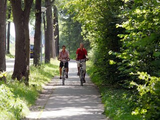 Parc de vacances Appelscha Environnement 11