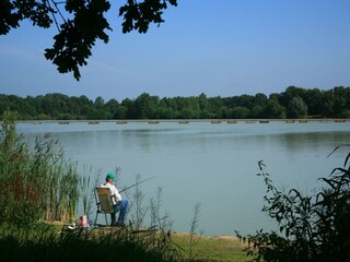 Vakantiepark Tynaarlo Omgeving 13