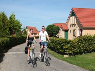 Vakantiepark Tynaarlo Omgeving 17