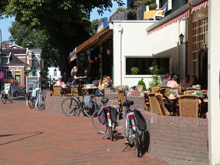 Vakantiepark Tynaarlo Omgeving 13