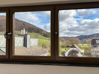 Ferienhaus Meschede Außenaufnahme 7
