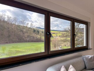 Ferienhaus Meschede Außenaufnahme 8