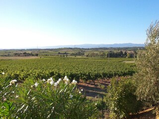 Villa Montbrun-des-Corbières Buitenaudio-opname 5