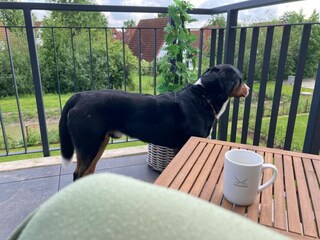 Vakantieappartement Dorum-Neufeld Buitenaudio-opname 17