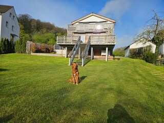 Vakantieappartement Diemelsee Buitenaudio-opname 4
