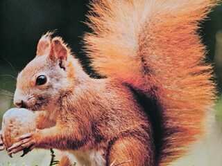 Apartamento de vacaciones Diemelsee Grabación al aire libre 5