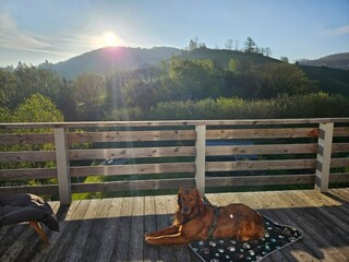 Apartamento de vacaciones Diemelsee Grabación al aire libre 6