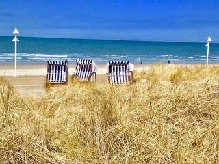 Appartamento per vacanze Norderney Ambiente 31