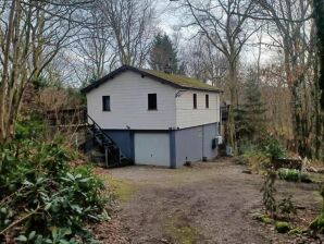 Chalet Vogelzang in the Ardennes - Viroinval - image1