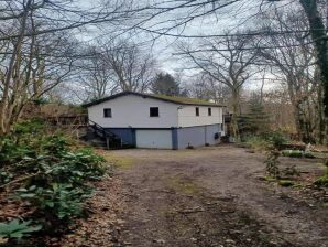 Chalet in den Ardennen - Viroinval - image1