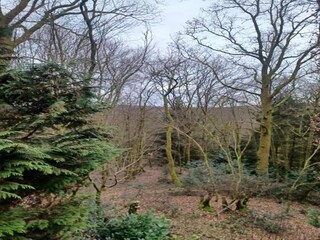 Chalet Viroinval Außenaufnahme 5