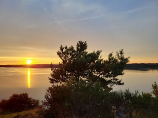 Bungalow Alt Reddevitz Environment 26