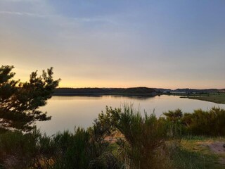 Bungalow Alt Reddevitz Environment 15