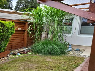 Bungaló Middelhagen  23