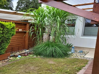 Bungalow Alt Reddevitz  40